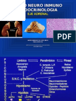 Eje Adrenal