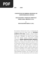 Constituc Empresa Responsabilidad Individual - Doc (PEDRO BAEZA MIRANDA)