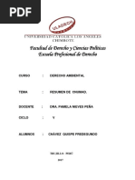 Conferencia de Las Naciones Unidas Sobre El Medio Ambiente y El Desarrollo