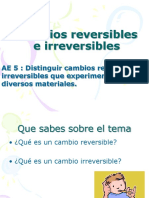 Cambios Reversibles e Irreversibles