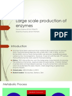 Large Scale Production of Enzymes - Gaurav - Shrestha