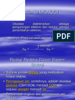 Oksidasi Biologi