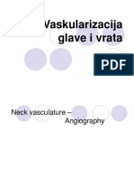 Head and Neck Blood Vessels