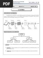 Quimica y Biologia 2º Año