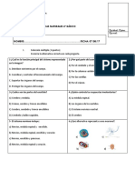 Prueba de Ciencias Sistema Nervioso.