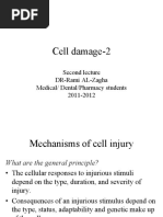 Cell Damage 2