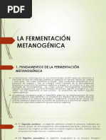 La Fermentacion Metanogenica Erc