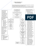 LP Pneumothorax