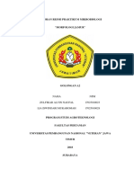 Laporan Resmi Praktikum Morfologi Jamur