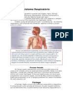 Resumo Anatomia Sistema Respiratório