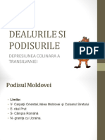 Dealurile Si Podisurile