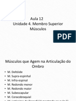 Musculos+dos+membros+superiores PDF