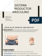 Sistema Reproductor