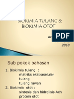 Biokimia Tulang Dan Otot