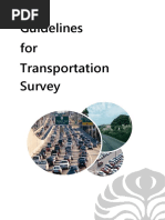 Traffic Survey Manual Guideline