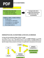 Producción Primaria, Energética de Los Ecosistemas