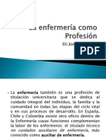 La Enfermería Como Profesión