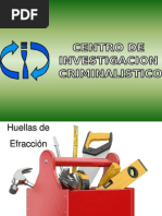 Huellas de Efraccion