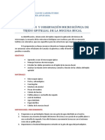 Observacion Mucosa Bucal - Células Animales