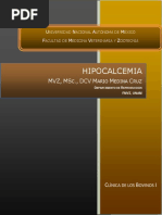 Hipocalcemia PDF