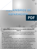 Seminario 1 Mecanismos de Reparación