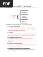 Derecho Procesal Penal