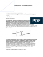 Separación Por Cromatografía en Columna de Pigmentos Vegetales