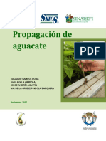 Propagacion de Aguacate