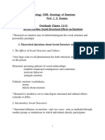 Social Structural Effects On Emotions