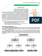 04 - Neurofisiologia