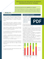 Ficha de Apoyo Preventivo Riesgos Psicosociales