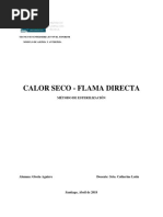 Informe Flama Directa - Corregido