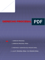 Proceso Penal