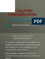 Cultura Organizacional