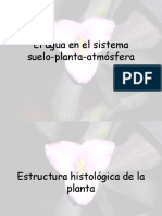 Potencial Hidrico