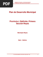 PDM Municipio de Reyes Beni