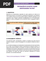 Bioquimica Practica n2 Informes