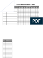 Formato Programa SST