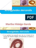 Strongyloides Stercoralis