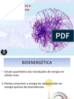 Bioenergética e Metabolismo