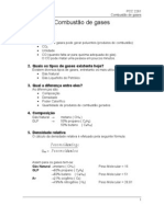 Combustão de Gases