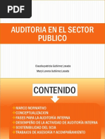 Auditoria en El Sector Publico