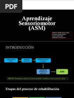 Aprendizaje Sensoriomotor