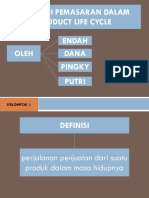 Product Life Cycle