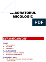 LP 7 Laboratorul Micologic