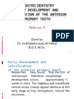 Pediatric Dentistry Early Development and Calcification of The Anterior Primary Teeth