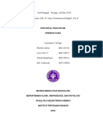 Protocol IBKV II (KUDA) Kelompok 2 Pagi