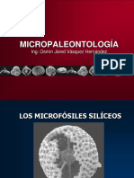 Los Microfósiles Silíceos