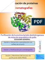 Cromatografia para Purificación de Proteínas