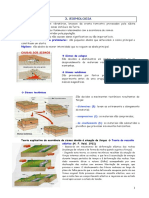 Resumos BG 10º Sismologia Estrutura Interna Terra